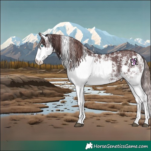 Horse Color:Chocolate Black Sabino Splash Skewed Appaloosa