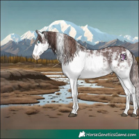 Horse Color:Chocolate Black Sabino Splash Skewed Appaloosa 