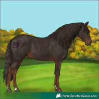 Horse Color:Liver Chestnut 