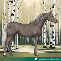 Horse Color:Silver Black 