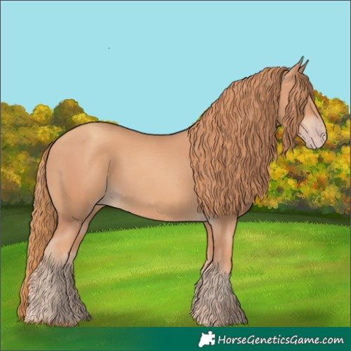 Horse Color:Gold Champagne Rabicano 