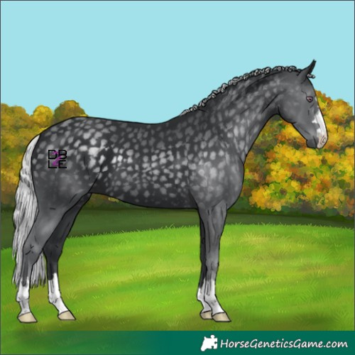 Horse Color:Silver Black Chinchilla