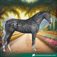 Horse Color:Silver Black Chinchilla
