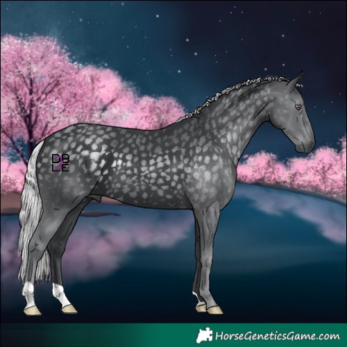 Horse Color:Silver Black Chinchilla 