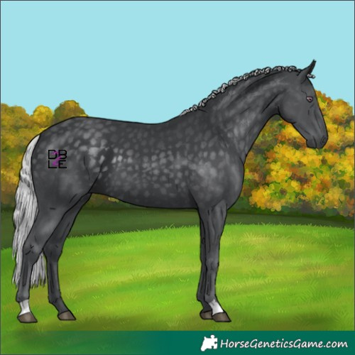 Horse Color:Silver Black Chinchilla 