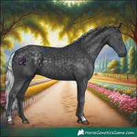 Horse Color:Silver Black Chinchilla
