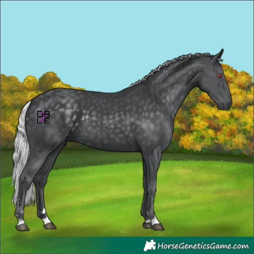 Horse Color:Silver Black Chinchilla 