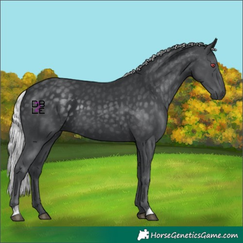 Horse Color:Silver Black Chinchilla 