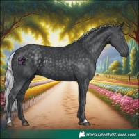 Horse Color:Silver Black Chinchilla