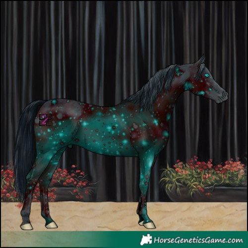 Horse Color:ERROR: UNKNOWN ANOMALY