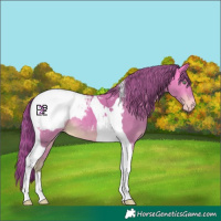 Horse Color:Platinum Amber Cream Champagne Tobiano Snowcap