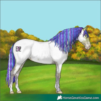 Horse Color:Platinum Painted Silver Amber Champagne Dun Sabino Near Fewspot