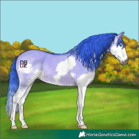 Horse Color:Gray Watercolor Bay Dun Splash 