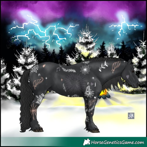 Horse Color:Black 
