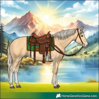 Horse Color:Palomino 