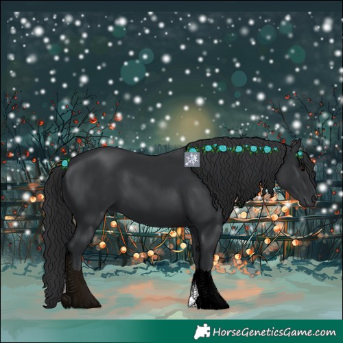 Horse Color:Black 