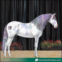 Horse Color:Nacre Watercolor Bay Sabino Splash Tobiano Appaloosa 