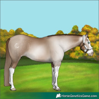 Horse Color:Gray Smoky Black Pearl Splash 