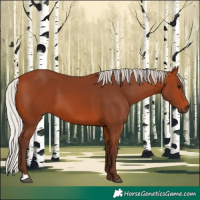 Horse Color:Silver Bay 
