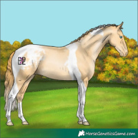 Horse Color:Buckskin Pearl Tobiano Varnish 