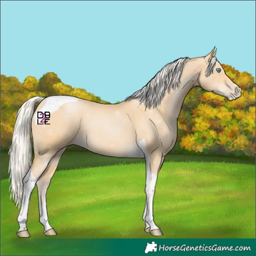 Horse Color:Silver Smoky Black Pearl Tobiano 