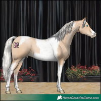 Horse Color:Silver Buckskin Pearl Tobiano Frame 