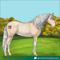 Horse Color:Silver Smoky Black Pearl Sabino Tobiano 