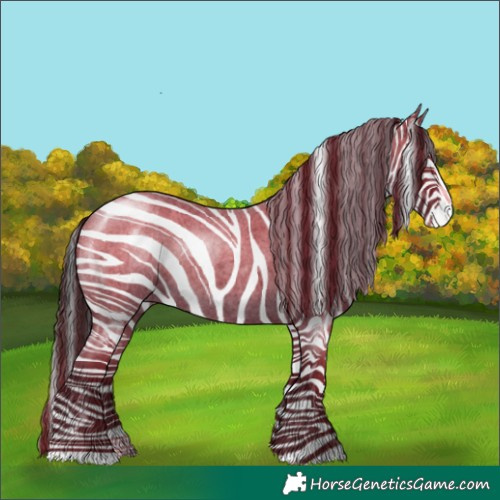 Horse Color:Blue Roan Splash 