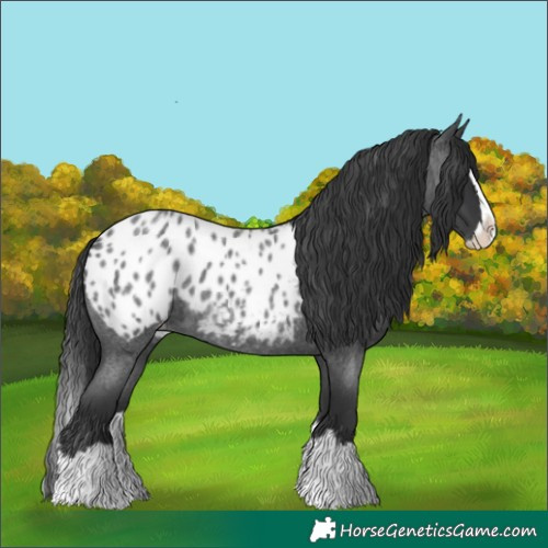 Horse Color:Blue Roan Splash Blanket