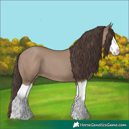 Horse Color:Classic Champagne Splash