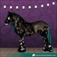 Horse Color:Void Painted Brown Roan Onyx Skewed Appaloosa 