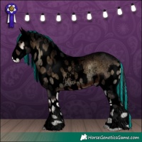 Horse Color:Void Painted Brown Roan Onyx Skewed Appaloosa 