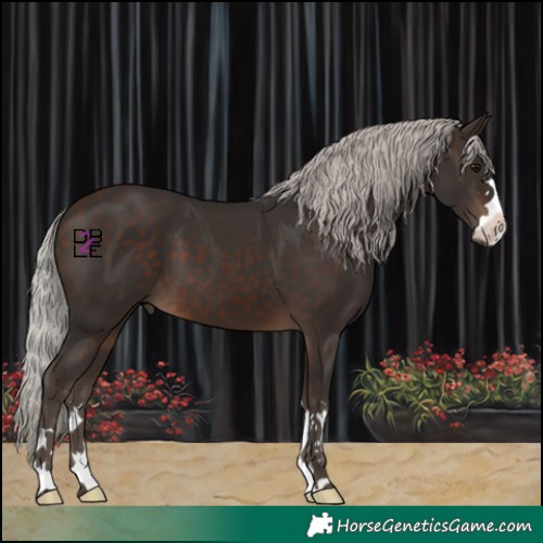 Horse Color:Silver Brown 
