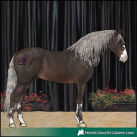 Horse Color:Silver Brown 