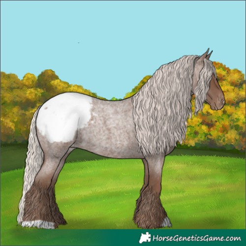 Horse Color:Silver Blue Roan Snowcap