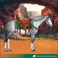 Horse Color:Gray Brown Splash 