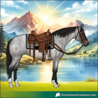 Horse Color:Gray Brown Roan