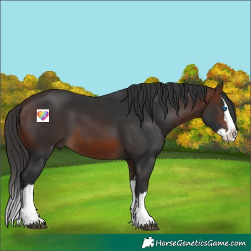 Horse Color:Brown Splash 