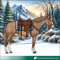 Horse Color:Red Dun Splash