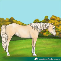Horse Color:Palomino Pearl