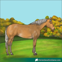 Horse Color:Silver Buckskin