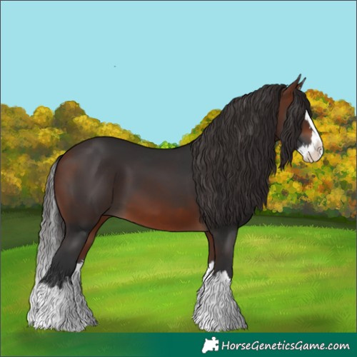 Horse Color:Bay Splash 