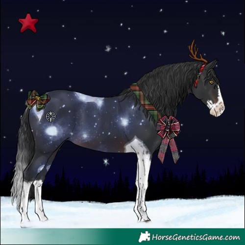 Horse Color:Brown Splash Tobiano 