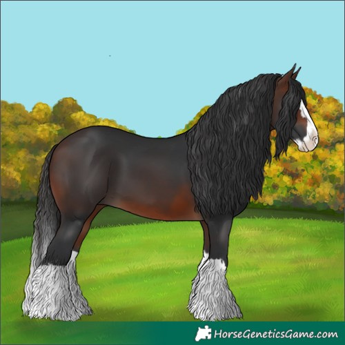 Horse Color:Brown Splash