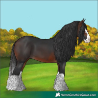 Horse Color:Brown Splash 