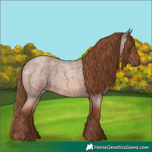 Horse Color:Red Roan 