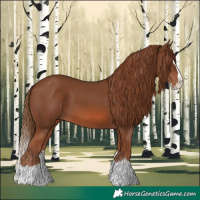 Horse Color:Chestnut Splash 
