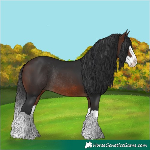 Horse Color:Brown Splash Rabicano