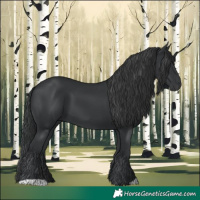 Horse Color:Black 