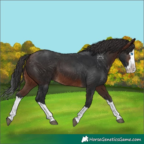 Horse Color:Brown Splash